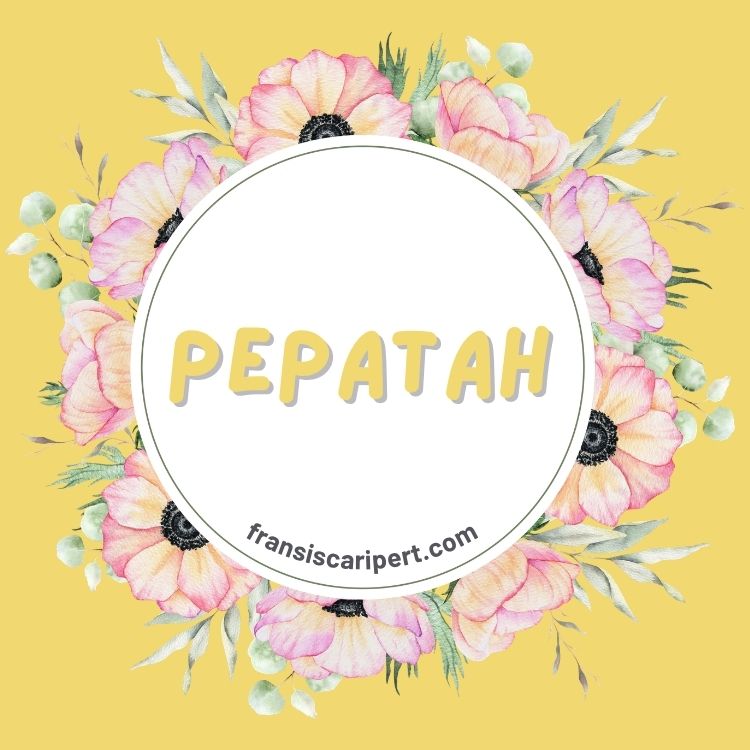 Pepatah: Pengetahuan Kecil yang Menyimpan Umur Panjang Manusia