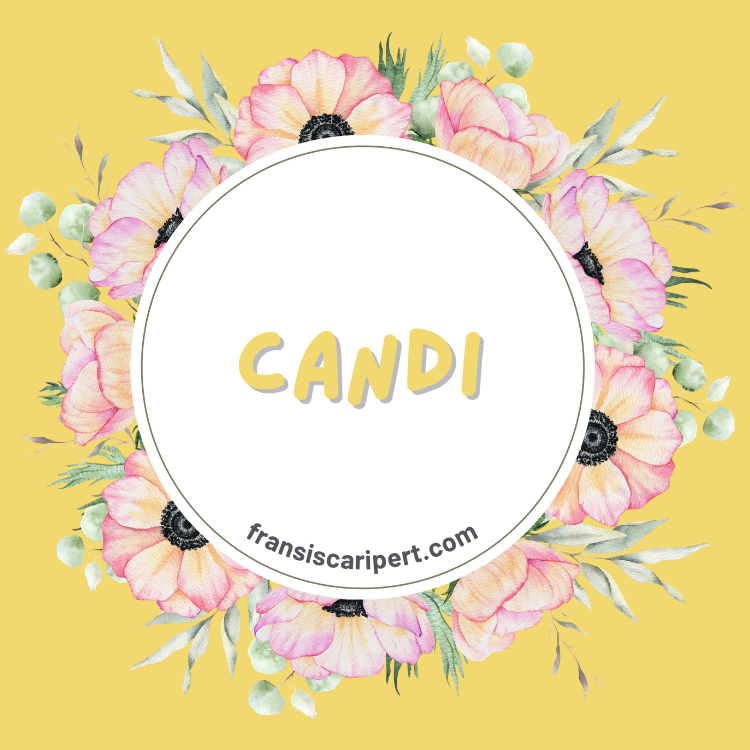 Candi: Susunan Batu yang Menjadi Buku Ingatan