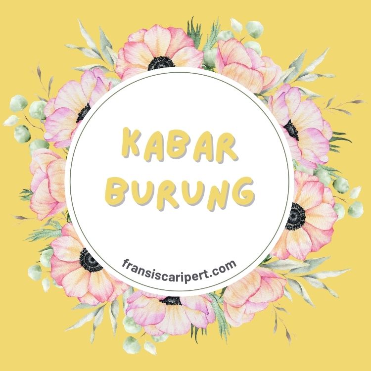 Kabar Burung: Tentang Rahasia Arah dan Kabar Kecepatan Burung