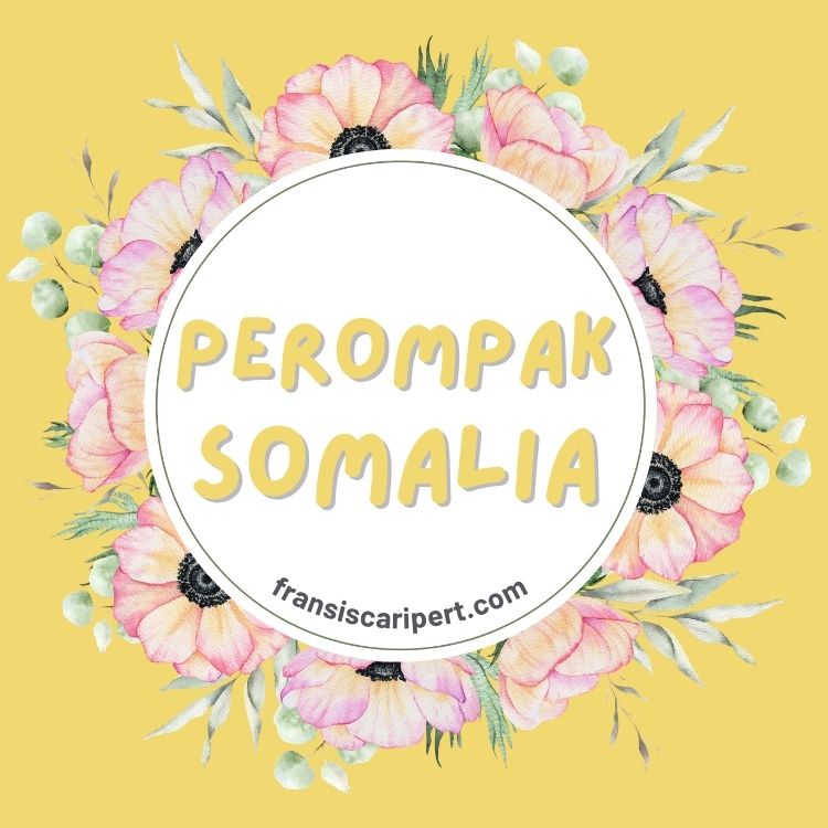 Perompak Somalia: Dari Nelayan Menjadi Bajak Laut Terorganisasi