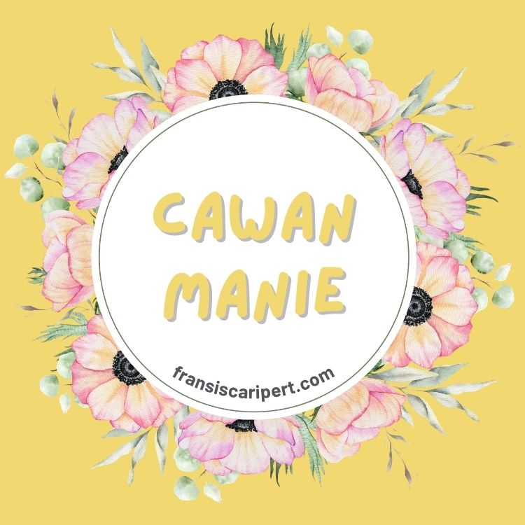 Cawan Manie