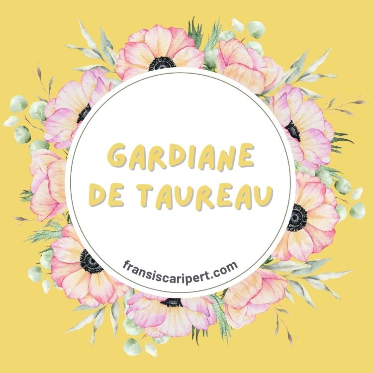 Gardiane de Taureau