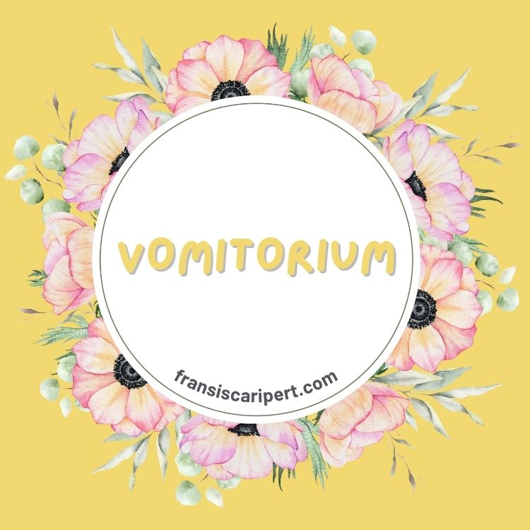 Vomitorium