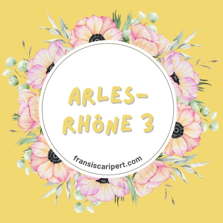 Arles-Rhône 3
